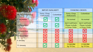 Xmas 2024 Flower & Foliage Import Availability