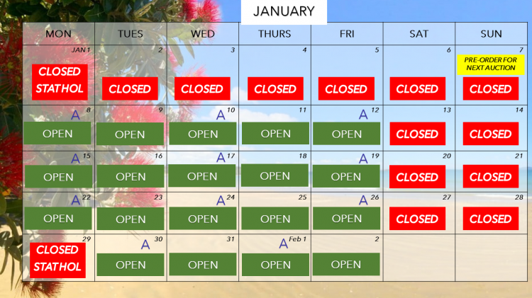 Calendar - Trading Days